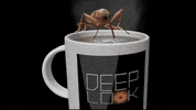 GIF by KQEDScience