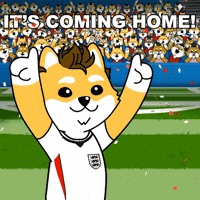 Fifa World Cup Football GIF by Dogelon Mars