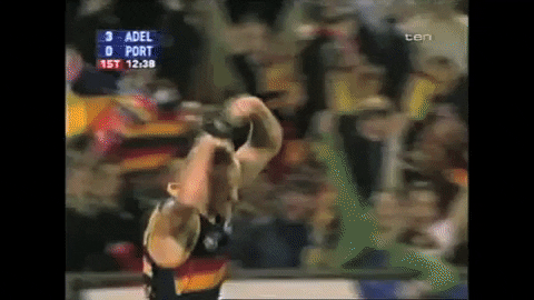 Afl Memories GIF by Adelaide Crows