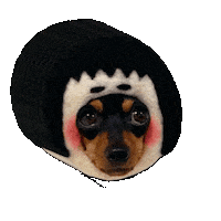 Dog Sticker