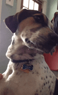 sundays GIF