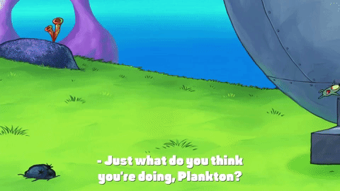 season 9 GIF by SpongeBob SquarePants