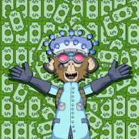 GIF by Planet XOLO