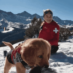 Ikon Pass Bark Bracket GIF by ikonpass