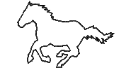 Horse Riding Sticker by SandraFencl