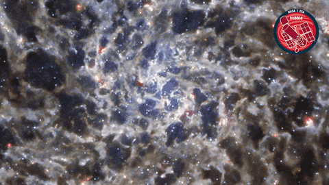 Nasa Uncover GIF by ESA/Hubble Space Telescope