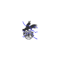 vflpotsdam handball vfl potsdam vfl potsdam Sticker