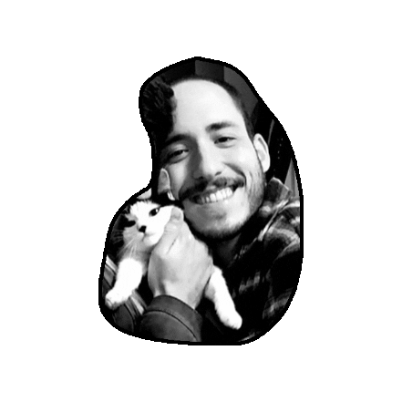 Cat Lucas Sticker by lcsfrcr