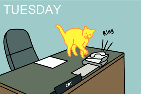 Cartoon gif. A yellow cat stands on a desk and anxiously paws at a ringing phone.