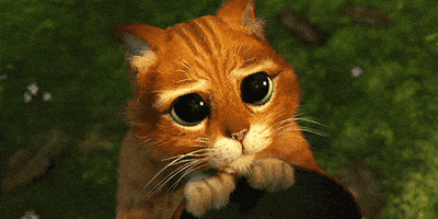 Movie gif. Puss in Boots from Shrek looks up with big, puppy eyes.
