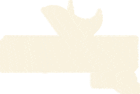 Dubai Sticker by Terramar Brands