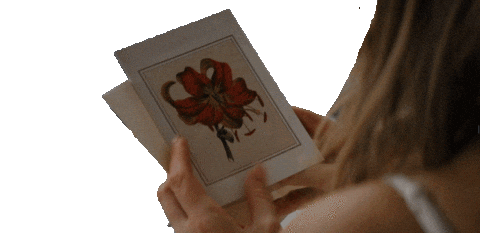 Jennifer Love Hewitt Summer Sticker by Sony Pictures