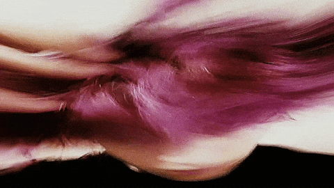 Dog K GIF by Audiomack