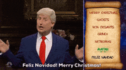 Snl GIF by Saturday Night Live