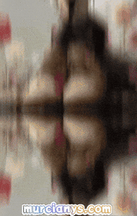 Pensando La Vida GIF by Murcianys LLC