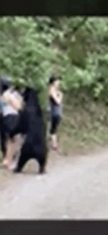 yj_jane giphygifmaker GIF