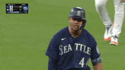 Baseball Playoffs GIF by MLB