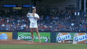 celebrity regularseason GIF by MLB