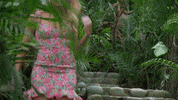 Season 6 GIF by Bachelor in Paradise