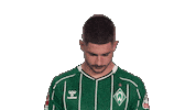 Werder Bremen Schmid Sticker by Bundesliga
