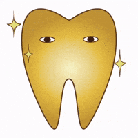 Sparkle Sparkling GIF by dental_sozai