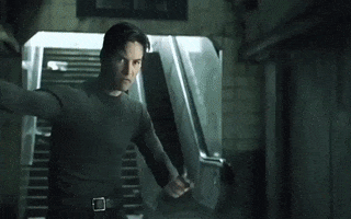 justviralnet funny viral hilarious GIF