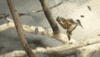 title sequence netflix GIF by Art of the Title