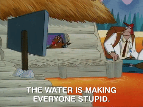 nickrewind giphydvr nicksplat angry beavers giphyab031 GIF