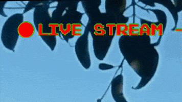 Explore Once Upon A Time GIF by Xinanimodelacra