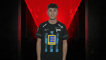 No Idea What GIF by Bundesliga