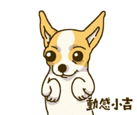 Animation Dog GIF