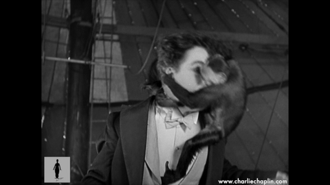 silent film comedy GIF