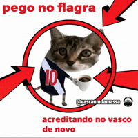 Vascomemes GIF