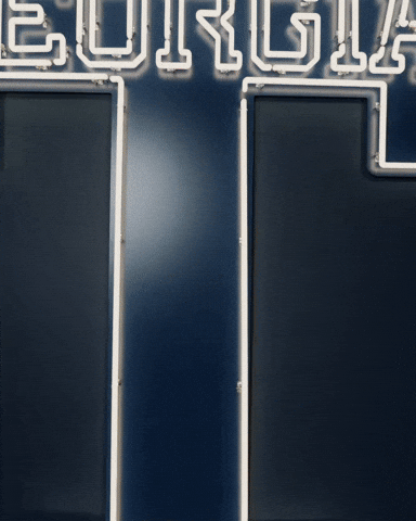Georgia Tech Baseball GIF by Georgia Tech Yellow Jackets