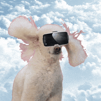 outputk dog sky vr clouds GIF
