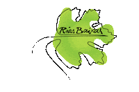 Wine Leaf Sticker by DO Rías Baixas