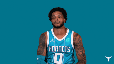 Miles Bridges Sport GIF by Charlotte Hornets