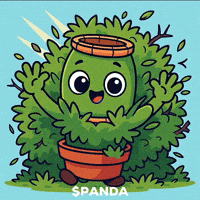 Surprise Hello GIF by PandaMania