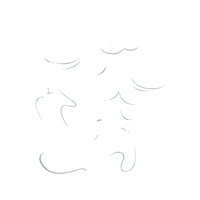 espumamagica magia foam espuma proauto Sticker