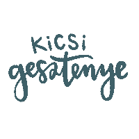 Dalszoveg Magyarzene Sticker