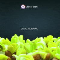 Morning Grow GIF by Learner Circle