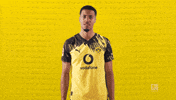 Borussia Dortmund Football GIF by Bundesliga