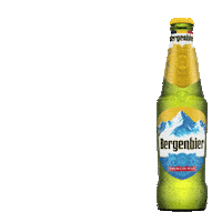 Bergenbier football sport friends beer Sticker