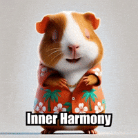 Wisdom Tranquility GIF by Guinea Gambino