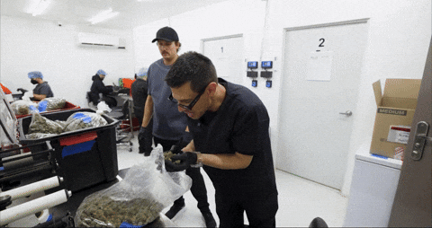 Bloom Andrew GIF by Exclusive Brands