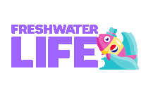 pepsi summergram Sticker