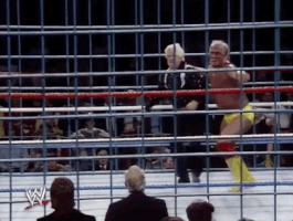 hulk hogan wrestling GIF by WWE