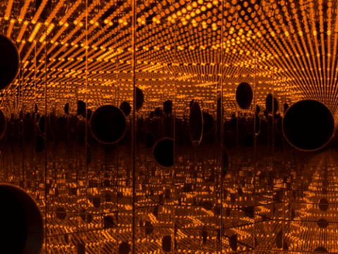 GIF by The Broad Museum