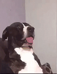 work meeting GIF