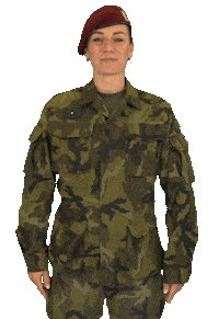 armadaceskerepubliky army blessed czech weep Sticker